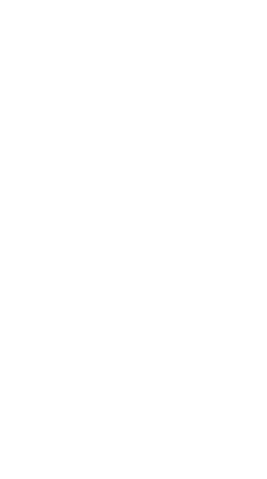 ivai.org.mx